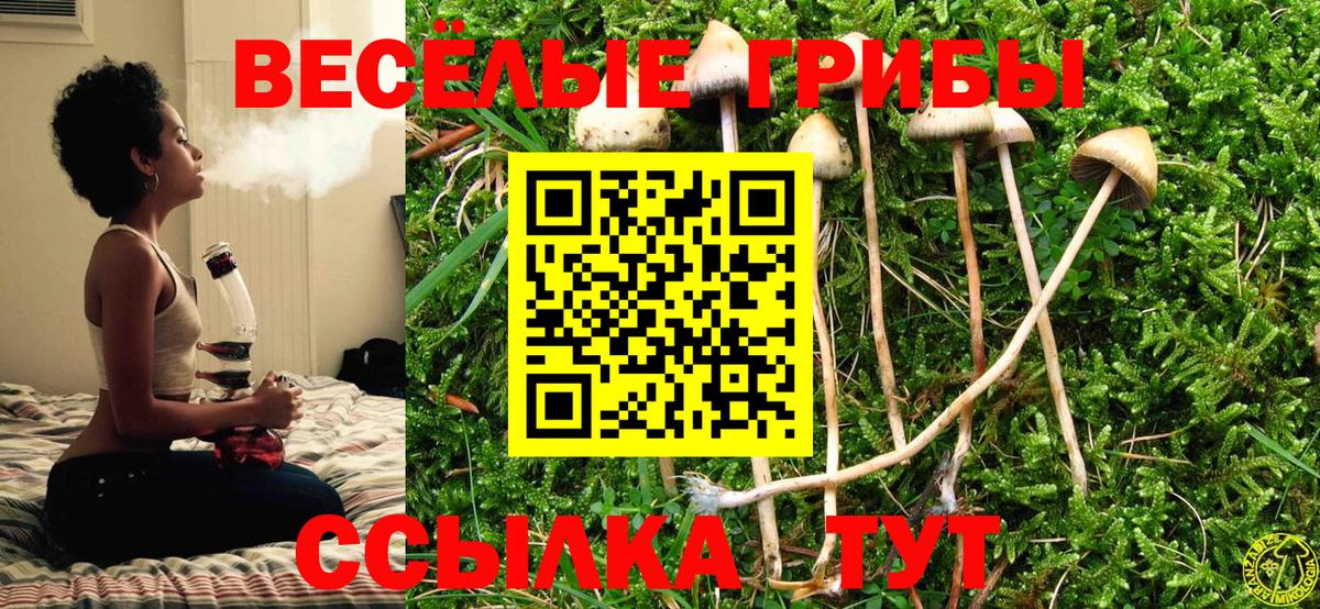 Псилоцибиновые грибы прущие грибы  Вход с VPN  Надым  Галлюциногенные грибы GOLDEN TEACHER 