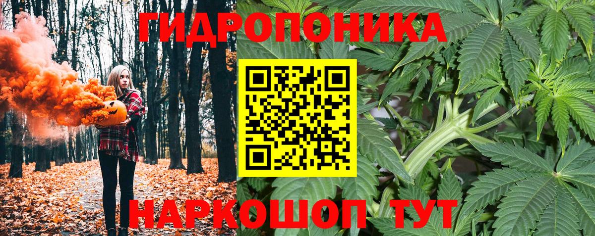 Бошки Шишки Amnesia Надым